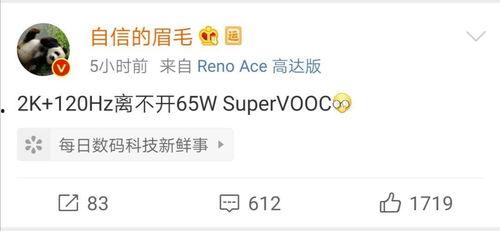 新丽总裁最新爆料消息,影视行业新动向与公司未来布局